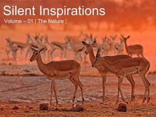 Silent Inspirations Volume – 01  [  The Nature  ] 