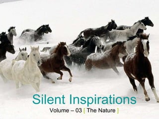 Silent Inspirations Volume – 03  [  The Nature  ] 