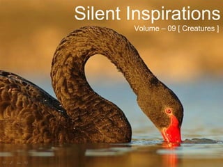 Silent Inspirations Volume – 09 [ Creatures ] 