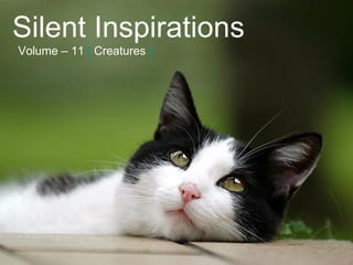 Silent Inspirations Volume – 11   [   Creatures   ] 