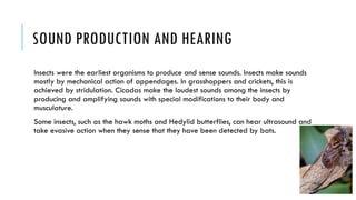 Silent features of insects.pptxhfhjjgghj | PPTX