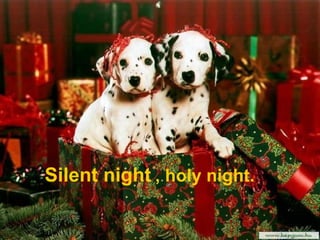 Silent night , holy night.
 