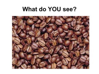 What do YOU see? 