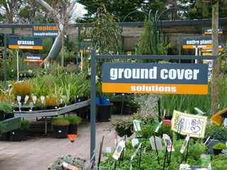 How to Maximise the Use of ColourAttract the eye of the customer