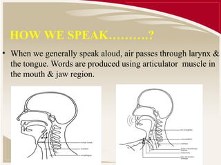 HOW WE SPEAK……….?
• When we generally speak aloud, air passes through larynx &
  the tongue. Words are produced using articulator muscle in
  the mouth & jaw region.
 