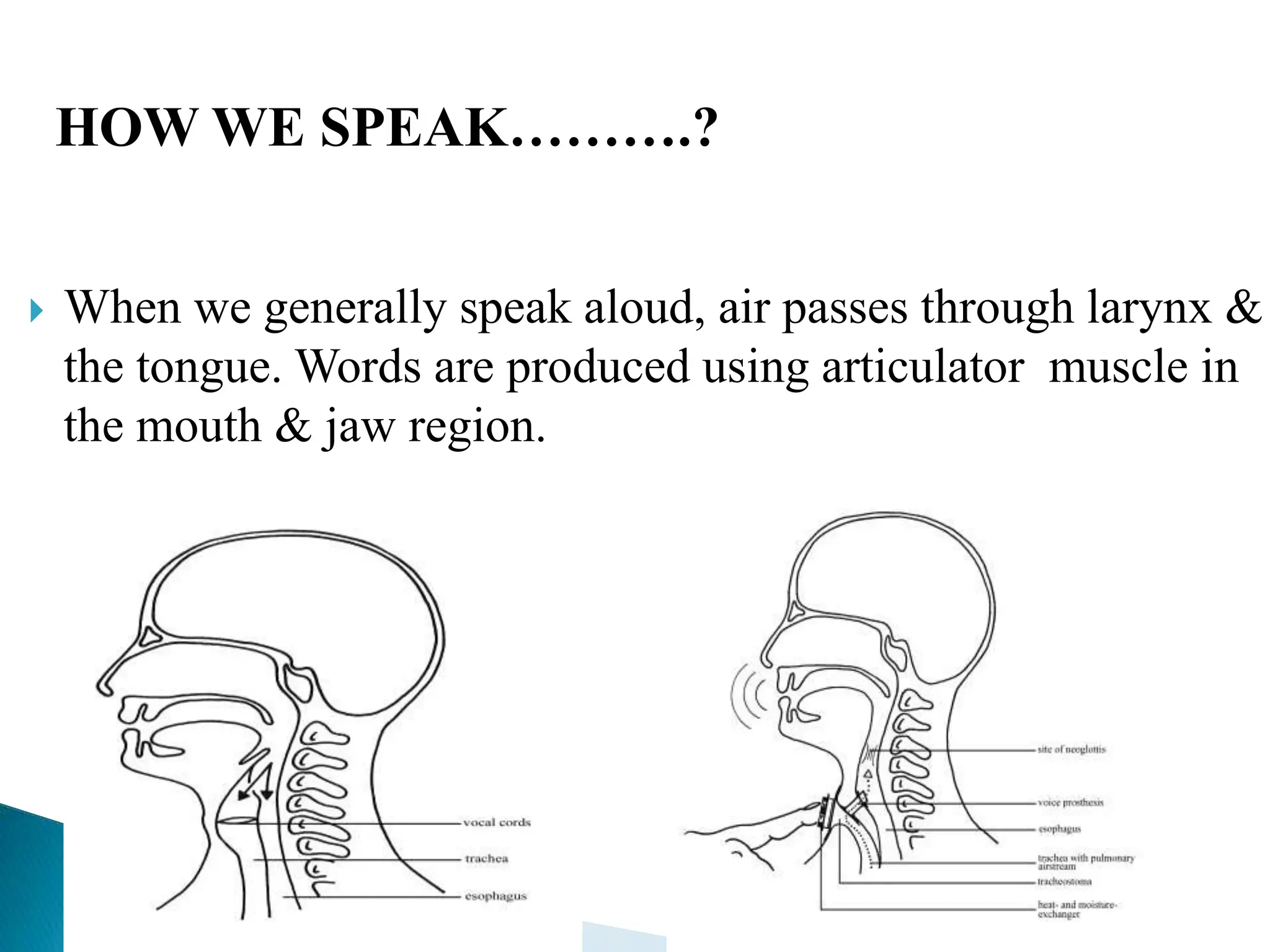 HOW WE SPEAK……….?
 When we generally speak aloud, air passes through larynx &
the tongue. Words are produced using articulator muscle in
the mouth & jaw region.
 