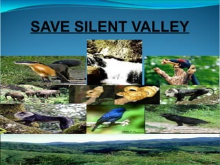 SAVE SILENT VALLEY
 