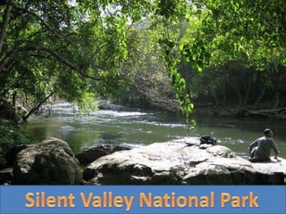 Silent valley national park