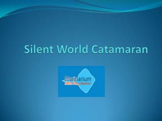 Silent World Catamaran 