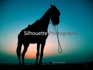 Silhouette Photography By Liisa Huotari 1 