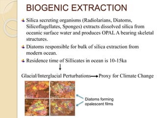 BIOGENIC EXTRACTION
Silica secreting organisms (Radiolarians, Diatoms,
Silicoflagellates, Sponges) extracts dissolved silica from
oceanic surface water and produces OPAL A bearing skeletal
structures.
Diatoms responsible for bulk of silica extraction from
modern ocean.
Residence time of Sillicates in ocean is 10-15ka
Glacial/Interglacial Perturbations Proxy for Climate Change
Diatoms forming
opalescent films
 