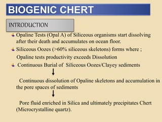 BIOGENIC CHERT
INTRODUCTION
Opaline Tests (Opal A) of Siliceous organisms start dissolving
after their death and accumulates on ocean floor.
Siliceous Oozes (>60% siliceous skeletons) forms where ;
Opaline tests productivity exceeds Dissolution
Continuous Burial of Siliceous Oozes/Clayey sediments
Continuous dissolution of Opaline skeletons and accumulation in
the pore spaces of sediments
Pore fluid enriched in Silica and ultimately precipitates Chert
(Microcrystalline quartz).
 