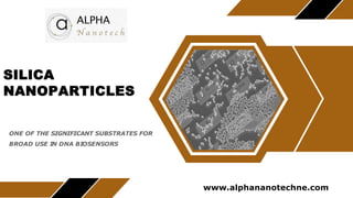 SILICA
NANOPARTICLES
ONE OF THE SIGNIFICANT SUBSTRATES FOR
BROAD USE IN DNA BIOSENSORS
www.alphananotechne.com
 