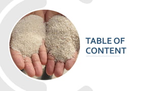 Project Report on Silica Sand Processing Plant | PPTX