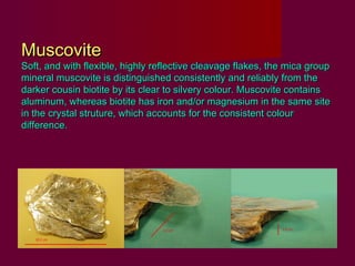 Muscovite
Soft, and with flexible, highly reflective cleavage flakes, the mica group
mineral muscovite is distinguished consistently and reliably from the
darker cousin biotite by its clear to silvery colour. Muscovite contains
aluminum, whereas biotite has iron and/or magnesium in the same site
in the crystal struture, which accounts for the consistent colour
difference.
 