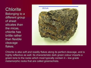 Chlorite
Belonging to a
different group
of sheet
silicates than
the micas,
chlorite has
brittle rather
than flexible
cleavage
flakes.
Chlorite is also soft and readily flakes along its perfect cleavage, and is
highly reflective as well. Its characteristic dark green colour imparts a
green tone to the rocks which most typically contain it – low grade
metamorphic rocks that are called greenschists.
 