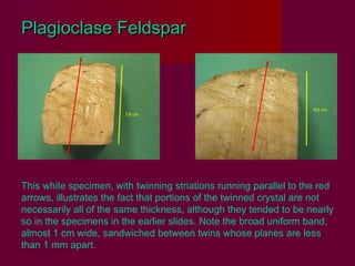 Plagioclase Feldspar




This white specimen, with twinning striations running parallel to the red
arrows, illustrates the fact that portions of the twinned crystal are not
necessarily all of the same thickness, although they tended to be nearly
so in the specimens in the earlier slides. Note the broad uniform band,
almost 1 cm wide, sandwiched between twins whose planes are less
than 1 mm apart.
 