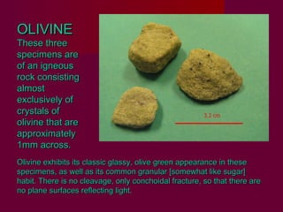 OLIVINE
These three
specimens are
of an igneous
rock consisting
almost
exclusively of
crystals of
olivine that are
approximately
1mm across.
Olivine exhibits its classic glassy, olive green appearance in these
specimens, as well as its common granular [somewhat like sugar]
habit. There is no cleavage, only conchoidal fracture, so that there are
no plane surfaces reflecting light.
 