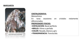 (ALSi3O10)CaAl2OH2
CRISTALOGRAFIA:
Monoclínico
En raras ocasiones en cristales netamente
diferenciados.
PROPIEDADES FISICAS:
•EXFOLIACION: Basal perfecta
•BRILLO: Vítreo a perlado
•COLOR: Rosado, blanco y gris
•TRANSPARENCIA: Translucido.
MARGARITA
 