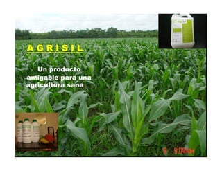 A G R I S I L
Un producto
amigable para una
agricultura sana
 