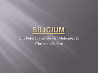 Ein Referat von Steven Melendez &
         Christian Sachse
 