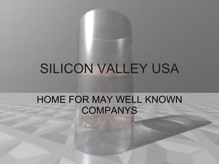 SILICON VALLEY USA HOME FOR MAY WELL KNOWN COMPANYS 