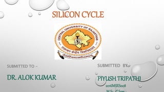 SILICON CYCLE
SUBMITTED TO -
DR. ALOK KUMAR
SUBMITTED BY-
PIYUSH TRIPATHI
2016MSES008
st
 