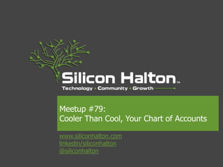 www.siliconhalton.com
linkedin/siliconhalton
@siliconhalton
Meetup #79:
Cooler Than Cool, Your Chart of Accounts
 