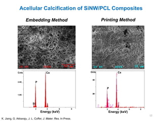 Acellular Calcification of SiNW/PCL Composites

                     Embedding Method                                      Printing Method




              Cnts                     Ca                           Cnts              Ca

                                                                     40
              2.0K              P

                                                                             P
                                                                     20
              1.0K




                           Si
                                2       4         6             8            2        4         6   8
                                    Energy (keV)                                 Energy (keV)
                                                                                                        12
K. Jiang, G. Akkaraju, J. L. Coffer, J. Mater. Res. In Press.
 