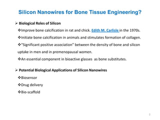 Silicon Nanowires for Bone Tissue Engineering?
 Biological Roles of Silicon
 Improve bone calcification in rat and chick. Edith M. Carlisle in the 1970s.
 Initiate bone calcification in animals and stimulates formation of collagen.
 “Significant positive association” between the density of bone and silicon
 uptake in men and in premenopausal women.
 An essential component in bioactive glasses as bone substitutes.

 Potential Biological Applications of Silicon Nanowires
 Biosensor
 Drug delivery
 Bio-scaffold




                                                                                 2
 