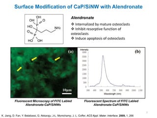 Surface Modification of CaP/SiNW with Alendronate

                                                            Alendronate
                                                             Internalized by mature osteoclasts
                                                             Inhibit resorptive function of
                                                            osteoclasts
                                                             Induce apoptosis of osteoclasts




           Fluorescent Microscopy of FITC Labled                       Fluorescent Spectrum of FITC Labled
                  Alendronate-CaP/SiNWs                                      Alendronate-CaP/SiNWs

                                                                                                                      7
K. Jiang, D. Fan, Y. Belabassi, G. Akkaraju, J-L. Montchamp, J. L. Coffer, ACS Appl. Mater. Interface. 2009, 1, 266
 