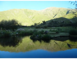 Silicon valley on PAE 