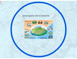 Silicon valley on PAE 
