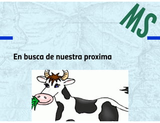 Silicon valley on PAE 