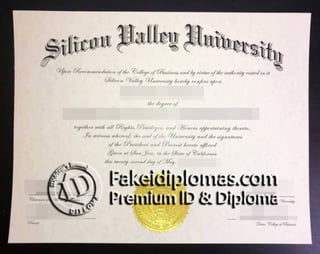 Silicon Valley University degree