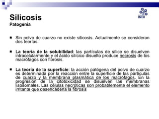Silicosis Patogenia <ul><li>Sin polvo de cuarzo no existe silicosis. Actualmente se consideran dos teorías: </li></ul><ul>...