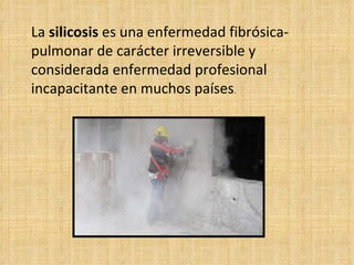 La silicosis es una enfermedad fibrósica-pulmonar de carácter irreversible y considerada enfermedad profesional incapacitante en muchos países .