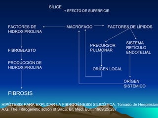 SÍLICE
                              + EFECTO DE SUPERFICIE



  FACTORES DE                  MACRÓFAGO           FACTORES...