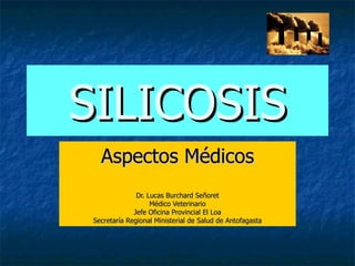 SILICOSIS Aspectos Médicos Dr. Lucas Burchard Señoret Médico Veterinario Jefe Oficina Provincial El Loa Secretaría Regional Ministerial de Salud de Antofagasta 