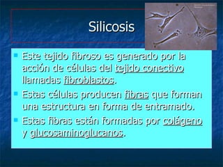 Silicosis <ul><li>Este tejido fibroso es generado por la acción de células del  tejido conectivo  llamadas  fibroblastos ....