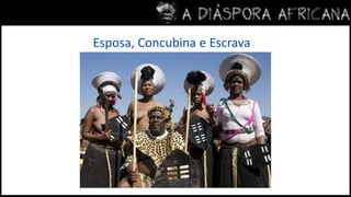 Interferência sobre o sistema de linhagem; 