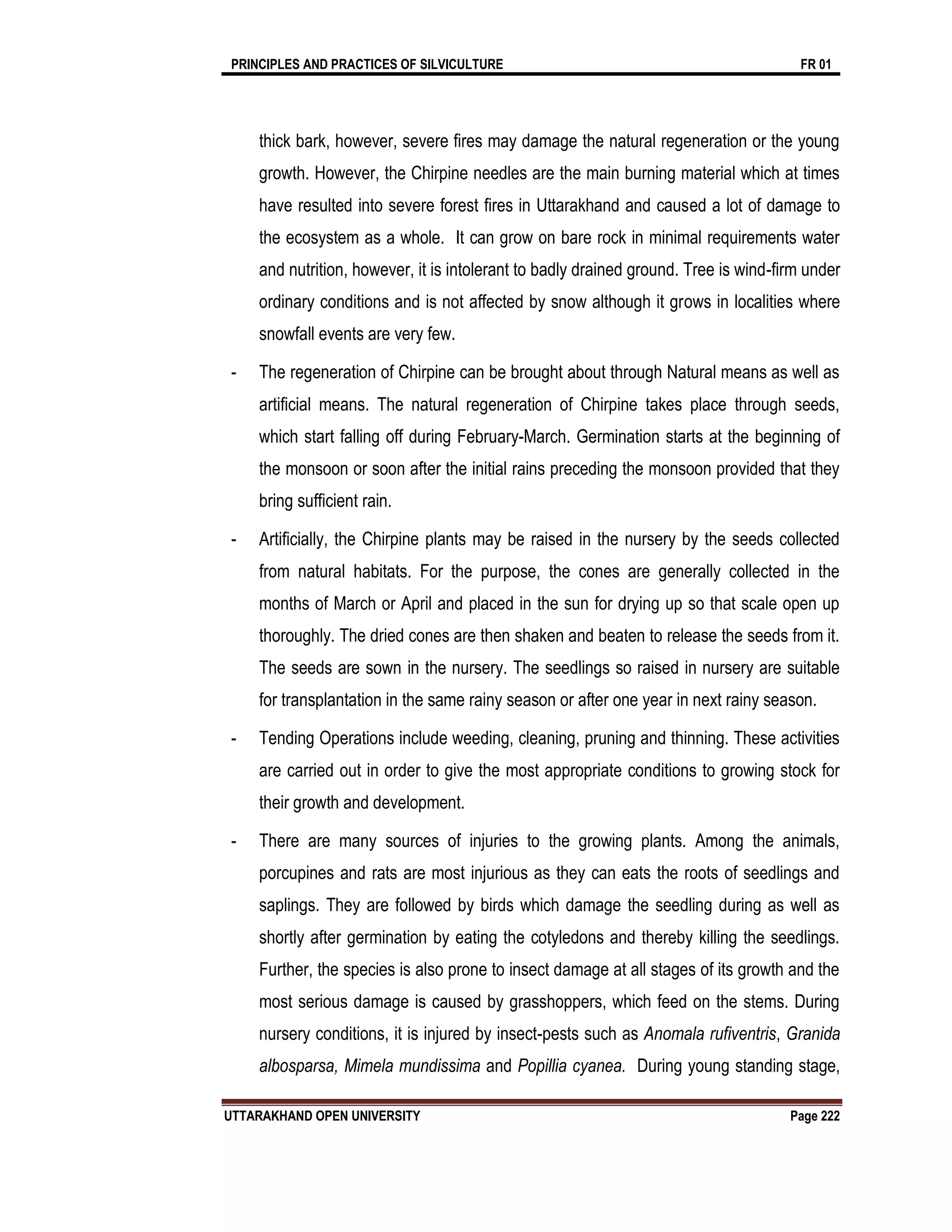 PRINCIPLES AND PRACTICES OF SILVICULTURE FR 01
UTTARAKHAND OPEN UNIVERSITY Page 222
thick bark, however, severe fires may damage the natural regeneration or the young
growth. However, the Chirpine needles are the main burning material which at times
have resulted into severe forest fires in Uttarakhand and caused a lot of damage to
the ecosystem as a whole. It can grow on bare rock in minimal requirements water
and nutrition, however, it is intolerant to badly drained ground. Tree is wind-firm under
ordinary conditions and is not affected by snow although it grows in localities where
snowfall events are very few.
- The regeneration of Chirpine can be brought about through Natural means as well as
artificial means. The natural regeneration of Chirpine takes place through seeds,
which start falling off during February-March. Germination starts at the beginning of
the monsoon or soon after the initial rains preceding the monsoon provided that they
bring sufficient rain.
- Artificially, the Chirpine plants may be raised in the nursery by the seeds collected
from natural habitats. For the purpose, the cones are generally collected in the
months of March or April and placed in the sun for drying up so that scale open up
thoroughly. The dried cones are then shaken and beaten to release the seeds from it.
The seeds are sown in the nursery. The seedlings so raised in nursery are suitable
for transplantation in the same rainy season or after one year in next rainy season.
- Tending Operations include weeding, cleaning, pruning and thinning. These activities
are carried out in order to give the most appropriate conditions to growing stock for
their growth and development.
- There are many sources of injuries to the growing plants. Among the animals,
porcupines and rats are most injurious as they can eats the roots of seedlings and
saplings. They are followed by birds which damage the seedling during as well as
shortly after germination by eating the cotyledons and thereby killing the seedlings.
Further, the species is also prone to insect damage at all stages of its growth and the
most serious damage is caused by grasshoppers, which feed on the stems. During
nursery conditions, it is injured by insect-pests such as Anomala rufiventris, Granida
albosparsa, Mimela mundissima and Popillia cyanea. During young standing stage,
 