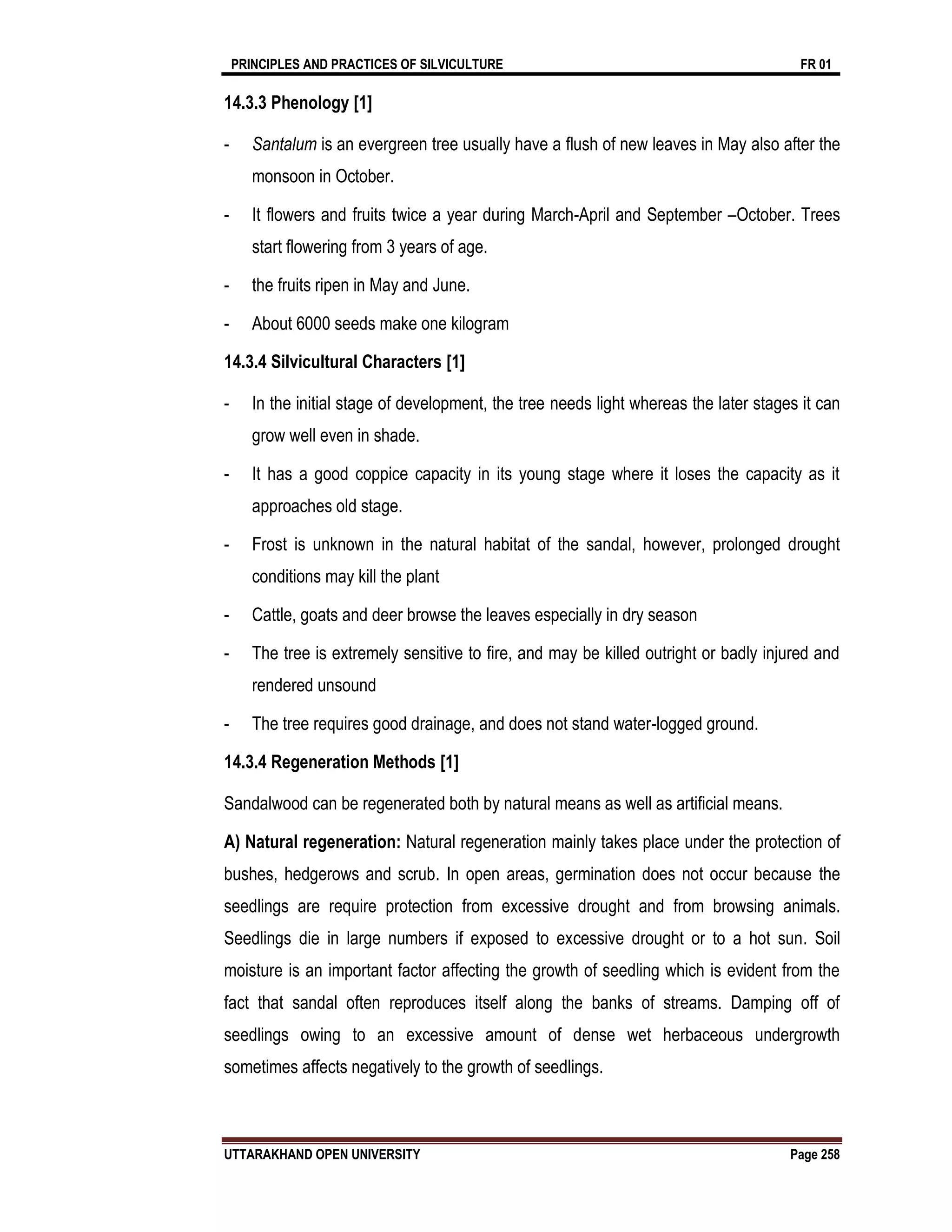 PRINCIPLES AND PRACTICES OF SILVICULTURE FR 01
UTTARAKHAND OPEN UNIVERSITY Page 258
14.3.3 Phenology [1]
- Santalum is an evergreen tree usually have a flush of new leaves in May also after the
monsoon in October.
- It flowers and fruits twice a year during March-April and September –October. Trees
start flowering from 3 years of age.
- the fruits ripen in May and June.
- About 6000 seeds make one kilogram
14.3.4 Silvicultural Characters [1]
- In the initial stage of development, the tree needs light whereas the later stages it can
grow well even in shade.
- It has a good coppice capacity in its young stage where it loses the capacity as it
approaches old stage.
- Frost is unknown in the natural habitat of the sandal, however, prolonged drought
conditions may kill the plant
- Cattle, goats and deer browse the leaves especially in dry season
- The tree is extremely sensitive to fire, and may be killed outright or badly injured and
rendered unsound
- The tree requires good drainage, and does not stand water-logged ground.
14.3.4 Regeneration Methods [1]
Sandalwood can be regenerated both by natural means as well as artificial means.
A) Natural regeneration: Natural regeneration mainly takes place under the protection of
bushes, hedgerows and scrub. In open areas, germination does not occur because the
seedlings are require protection from excessive drought and from browsing animals.
Seedlings die in large numbers if exposed to excessive drought or to a hot sun. Soil
moisture is an important factor affecting the growth of seedling which is evident from the
fact that sandal often reproduces itself along the banks of streams. Damping off of
seedlings owing to an excessive amount of dense wet herbaceous undergrowth
sometimes affects negatively to the growth of seedlings.
 