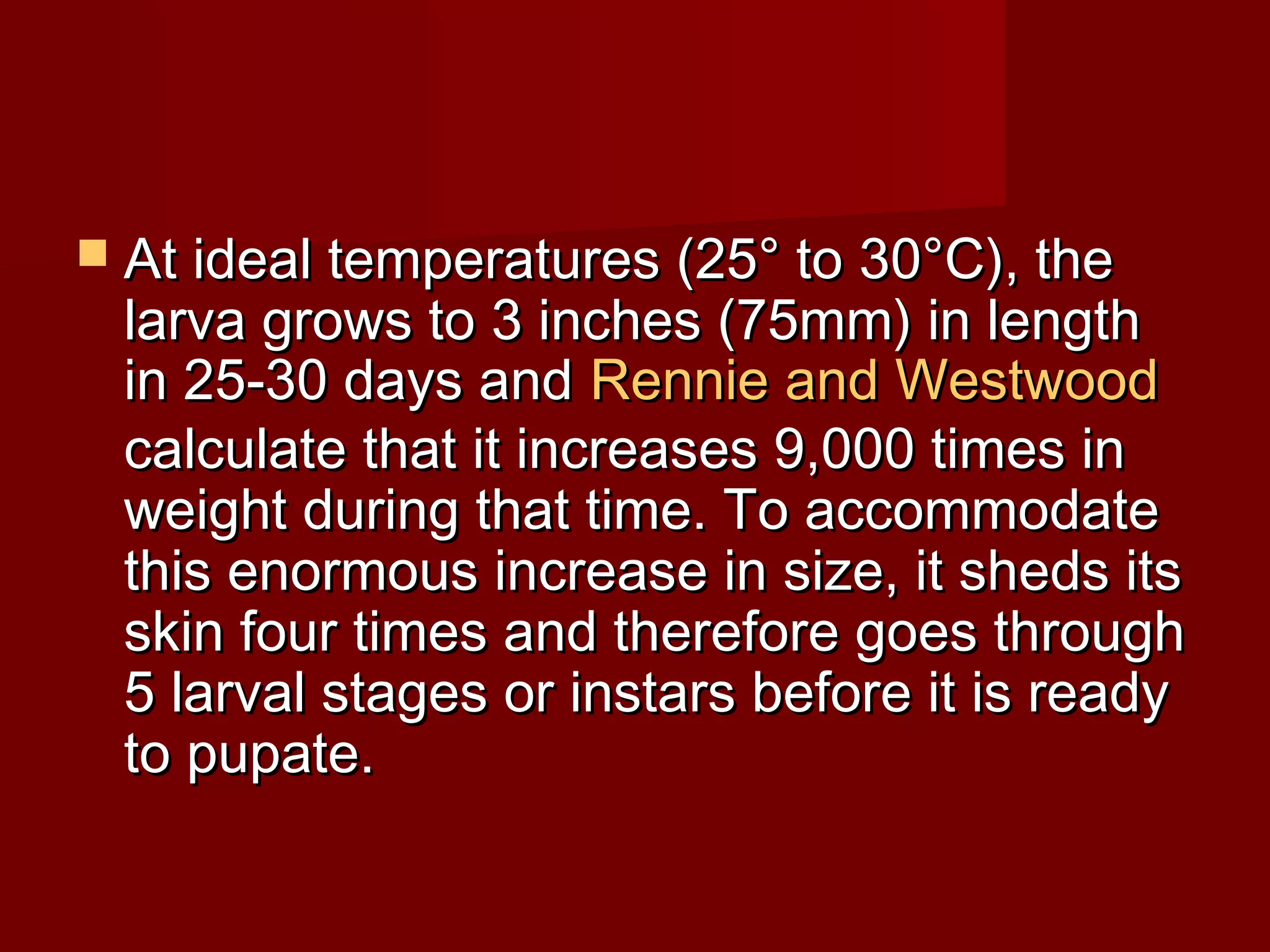  At ideal temperatures (25° to 30°C), the

larva grows to 3 inches (75mm) in length
in 25-30 days and Rennie and Westwood
calculate that it increases 9,000 times in
weight during that time. To accommodate
this enormous increase in size, it sheds its
skin four times and therefore goes through
5 larval stages or instars before it is ready
to pupate.

 