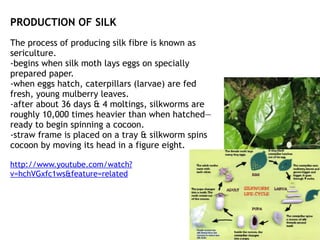 PRODUCTION OF SILK
The process of producing silk fibre is known as
sericulture.
-begins when silk moth lays eggs on specia...