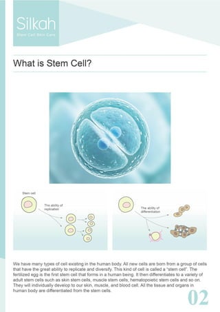 How stem cell skincare works | PDF