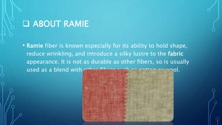  ABOUT RAMIE
• Ramie fiber is known especially for its ability to hold shape,
reduce wrinkling, and introduce a silky lustre to the fabric
appearance. It is not as durable as other fibers, so is usually
used as a blend with other fibers such as cotton or wool.
 