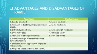  ADVANTAGES AND DISADVANTAGES OF
RAMIE
Advantages Disadvantages
1. Can be bleached. 1. Low in elasticity
2. Resistant to bacteria, mildew and insect
attack.
2. Lacks resiliency.
3. Extremely absorbent. 3. Low abrasion resistance.
4. Dyes fairly easy. 4. Wrinkles easily.
5. Increases in strength when wet. 5. Stiff and brittle.
6. Withstands high water temperatures
during laundering.
7. Smooth lustrous appearance improves
with washing.
8. Keeps its shape and does not shrink.
 
