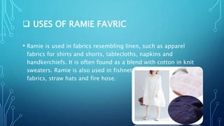  USES OF RAMIE FAVRIC
• Ramie is used in fabrics resembling linen, such as apparel
fabrics for shirts and shorts, tablecloths, napkins and
handkerchiefs. It is often found as a blend with cotton in knit
sweaters. Ramie is also used in fishnets, canvas, upholstery
fabrics, straw hats and fire hose.
 