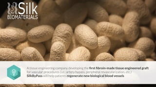 A tissue engineering company developing the ﬁrst ﬁbroin-made tissue engineered graft
for vascular procedures (i.e.: artery bypass, peripheral revascularization, etc.)
SilkByPass will help patients regenerate new biological blood vessels
 